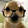 sloane_crv