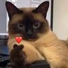 caffinated_angel