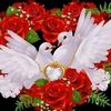 nomann097