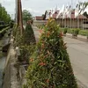user742222018