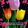 husaen.ali28