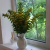kubutaeva_zuhra