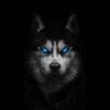 alphamind8