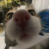 forcryingoutloud22