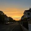 jonas_hlb_