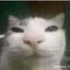 avatar_darko