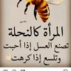 chafa5692shafa