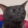 2isksokw