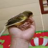 suhadi123481