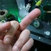 stewpid_stoned