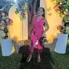 leidyanneferreir8