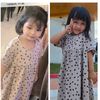 hari_syarif