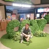 reviewhaiphong.net.org