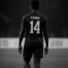 yann_14w