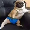 coryyswago