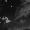 noni_123a