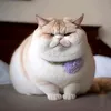 meohaydoi.911