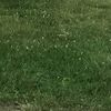 rkkaz1969