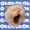 catjerman