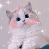 candygurl18