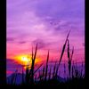 esmanur_elebi