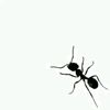 linaelbarackgmail.com