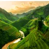 duy.anh00065