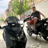 badis560d
