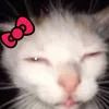 oceee_lmz