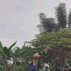 spty.tiwi