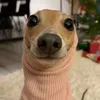 fadinhadoasmr
