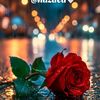user1801248346388