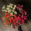 arwa.ksa11