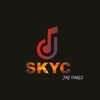 dj_skyc