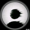 amnp_11