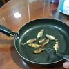 coostz10