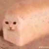 nitroglicerina_69