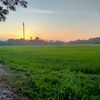 _dunia_sementara