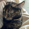 sabrina1245672
