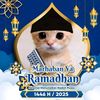 alzamwell8
