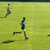 palokocis15