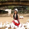 nhan.milo2003