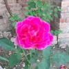 userfhs53d7u2d