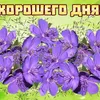 user8607738871132