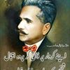 110786146492ali