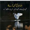 akbhutto4