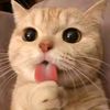 iluz_9