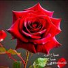 user8180478150349