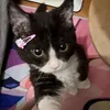 secretlifeofdelle