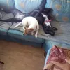 cacahouete05
